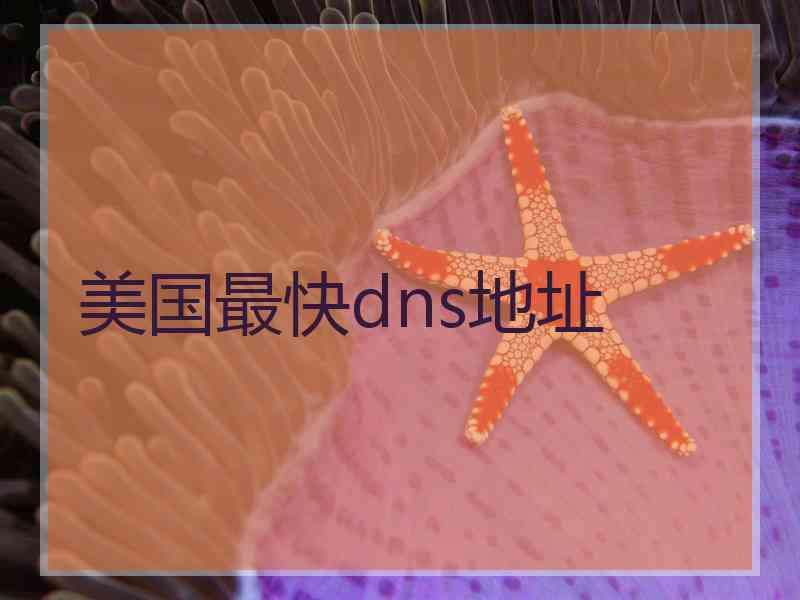 美国最快dns地址