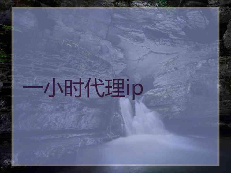 一小时代理ip