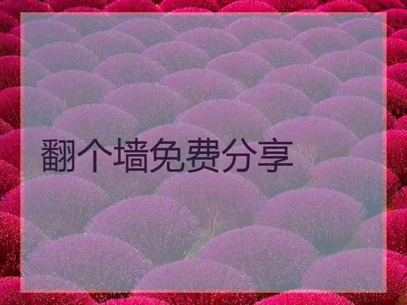 翻个墙免费分享