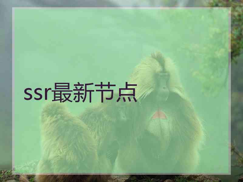 ssr最新节点