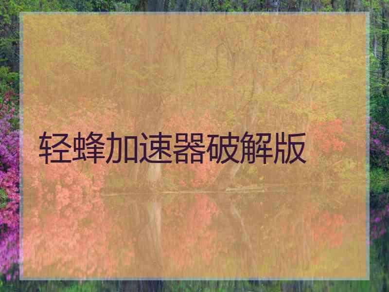 轻蜂加速器破解版