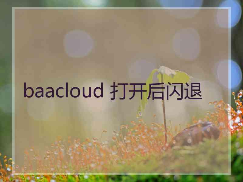 baacloud 打开后闪退