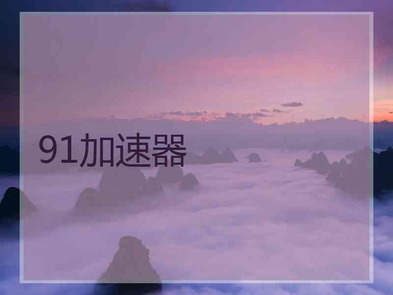 91加速器