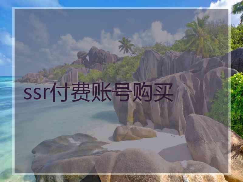 ssr付费账号购买