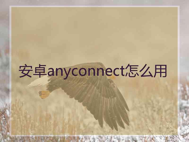安卓anyconnect怎么用