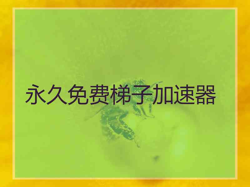 永久免费梯子加速器