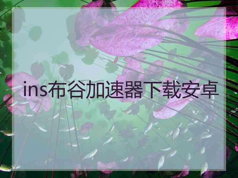 ins布谷加速器下载安卓