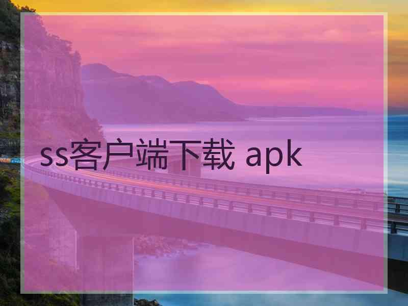 ss客户端下载 apk