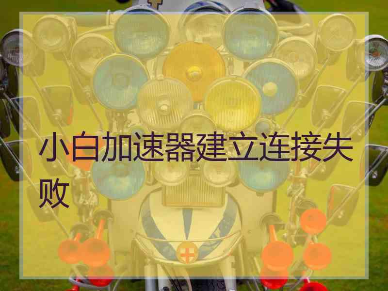 小白加速器建立连接失败