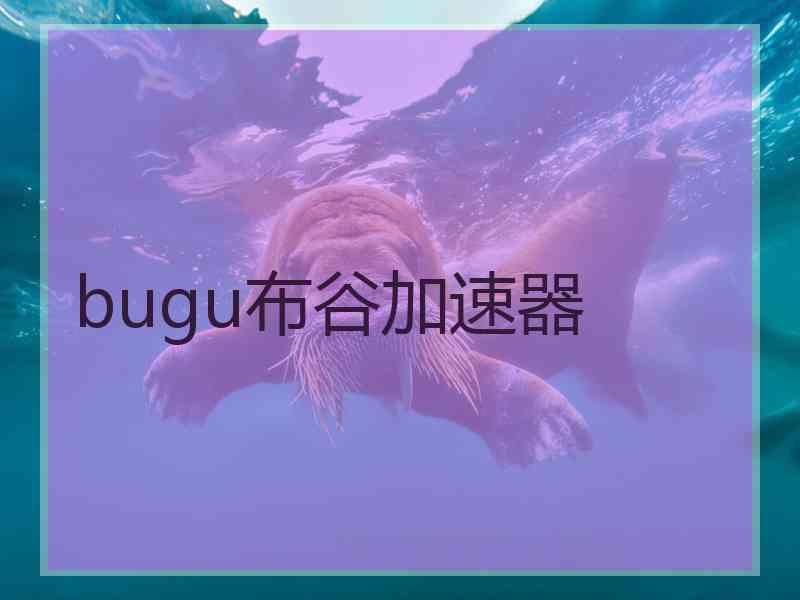 bugu布谷加速器