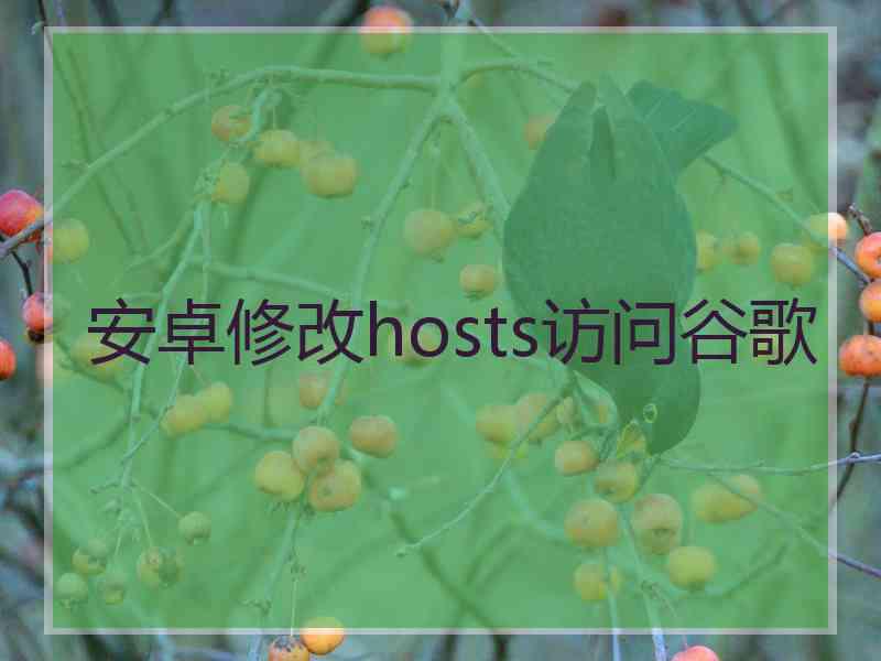 安卓修改hosts访问谷歌