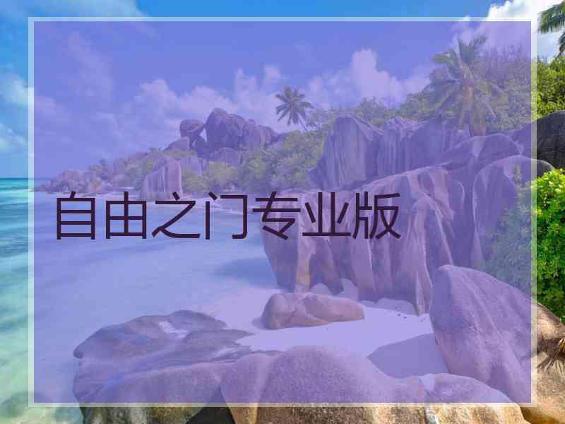 自由之门专业版