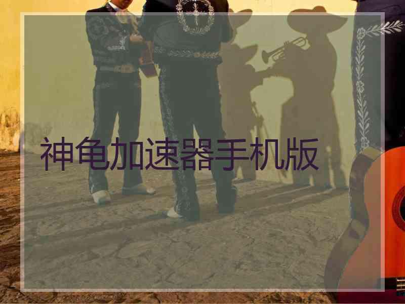 神龟加速器手机版