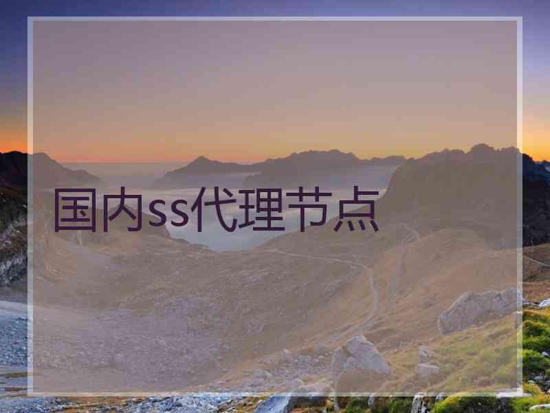 国内ss代理节点