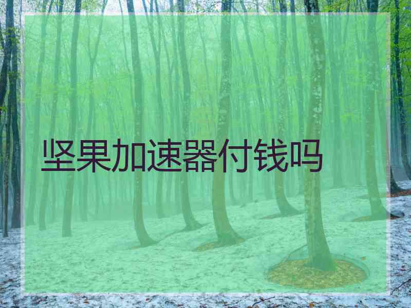 坚果加速器付钱吗