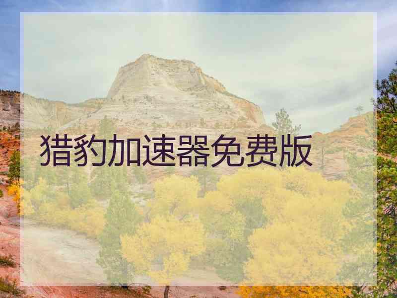 猎豹加速器免费版