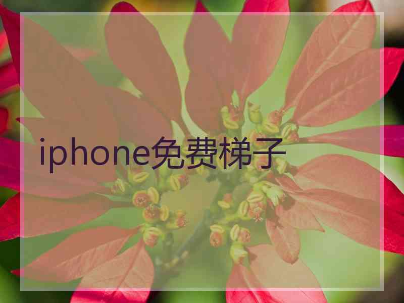 iphone免费梯子