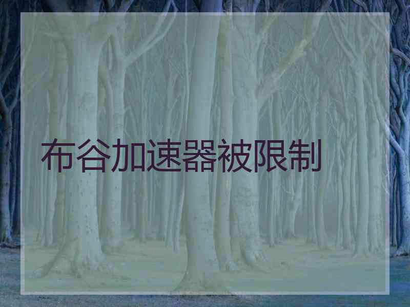 布谷加速器被限制