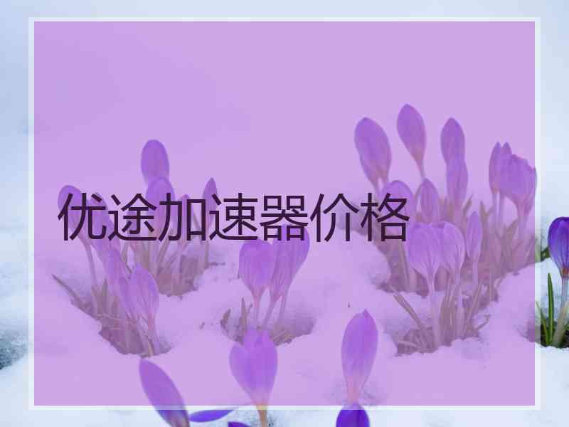 优途加速器价格