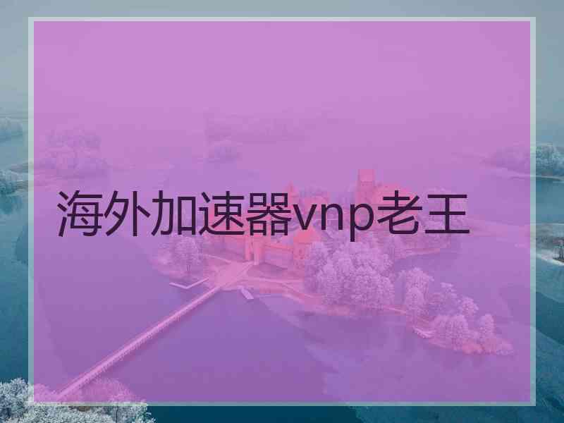 海外加速器vnp老王