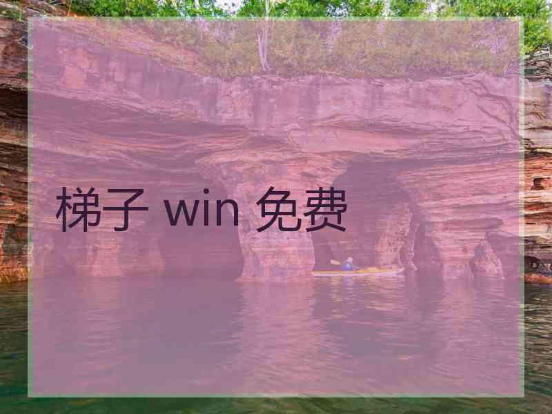 梯子 win 免费