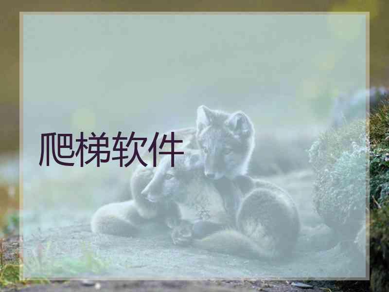 爬梯软件