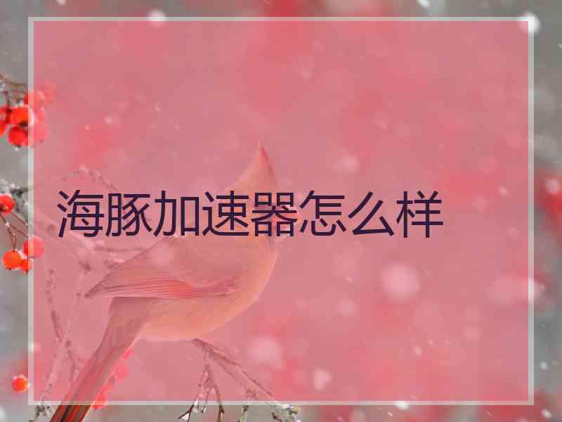海豚加速器怎么样