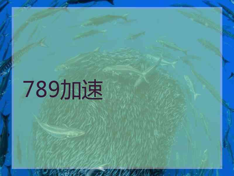 789加速
