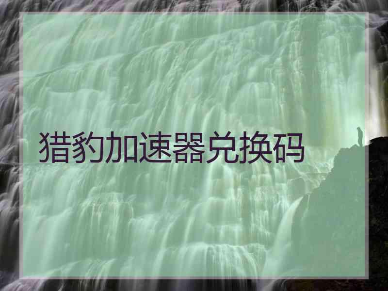 猎豹加速器兑换码