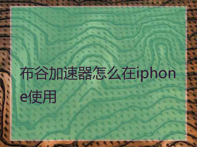 布谷加速器怎么在iphone使用