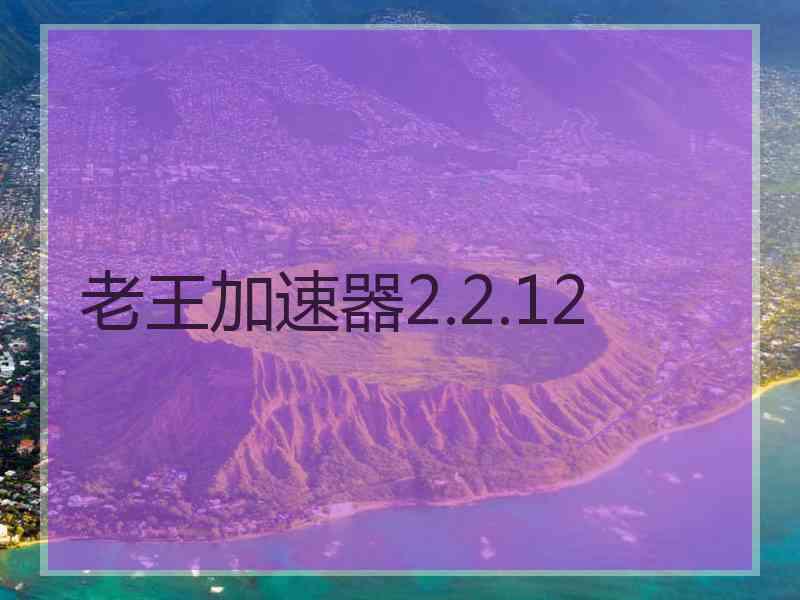 老王加速器2.2.12