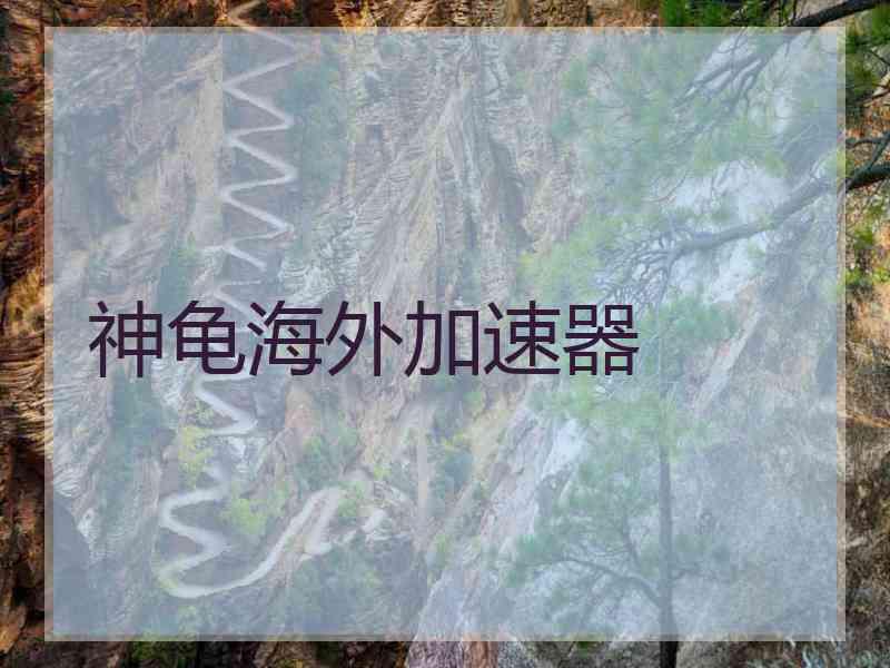 神龟海外加速器