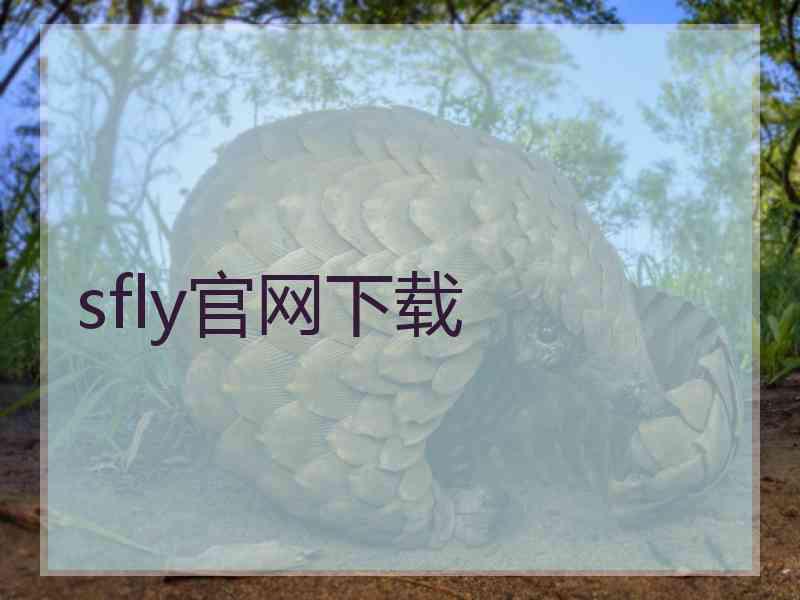 sfly官网下载