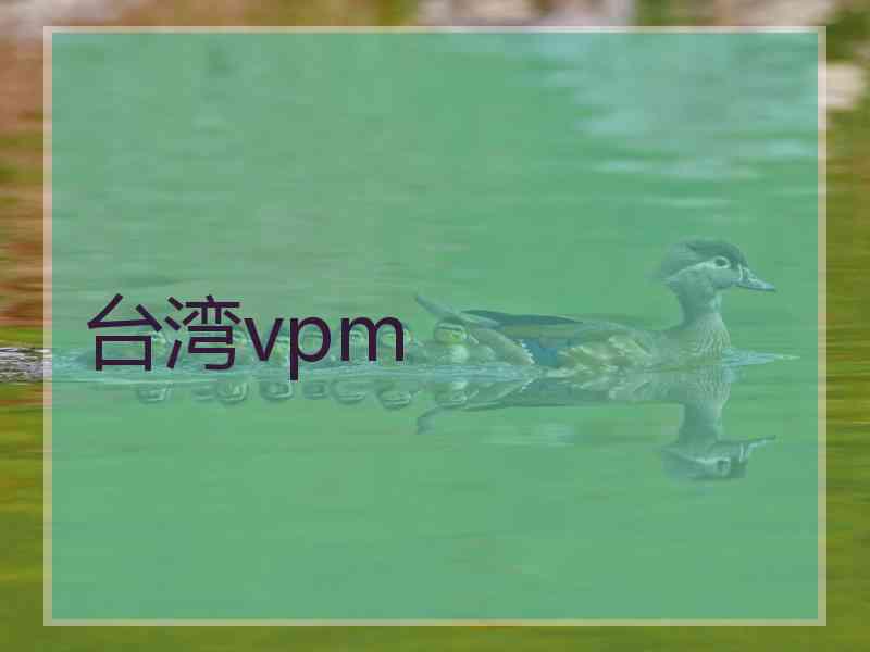 台湾vpm