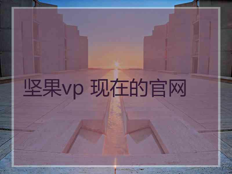 坚果vp 现在的官网
