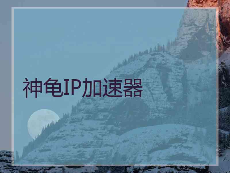 神龟IP加速器