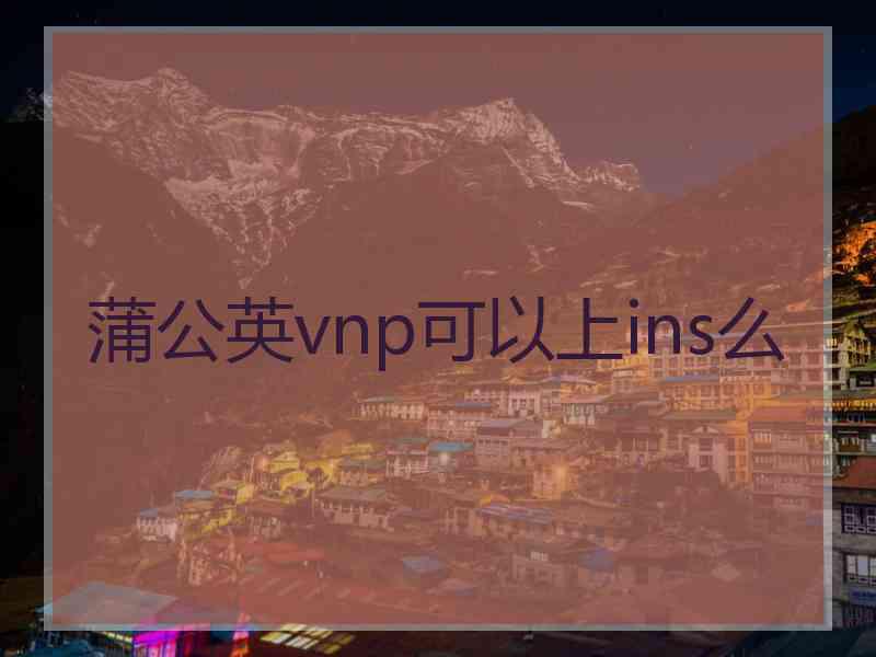 蒲公英vnp可以上ins么