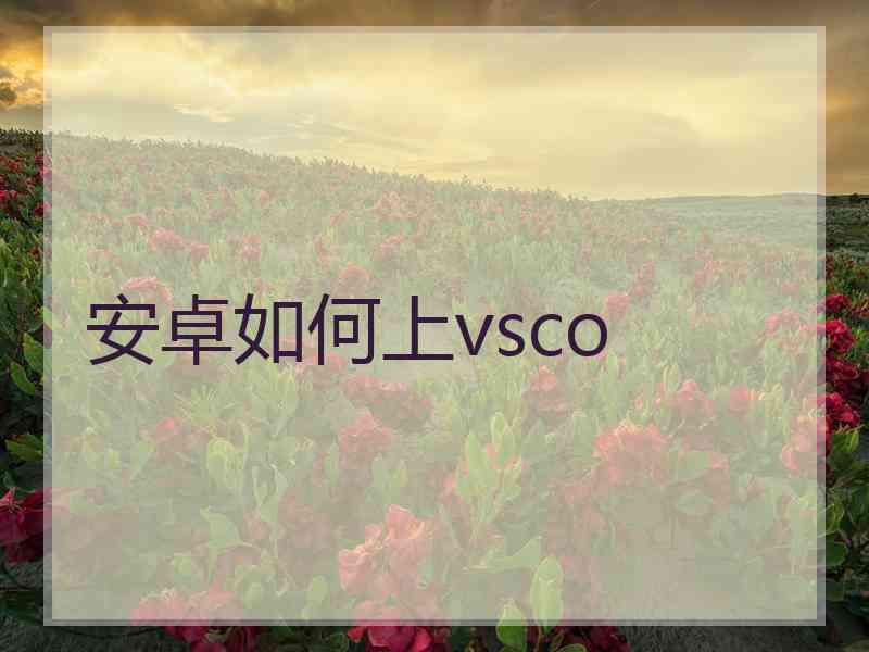 安卓如何上vsco