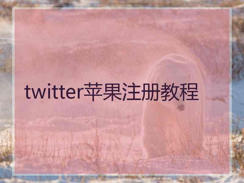 twitter苹果注册教程