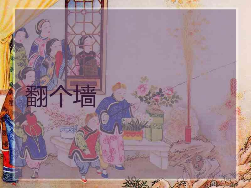 翻个墙
