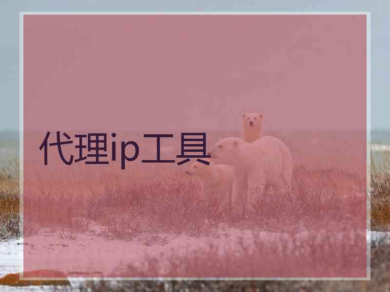 代理ip工具