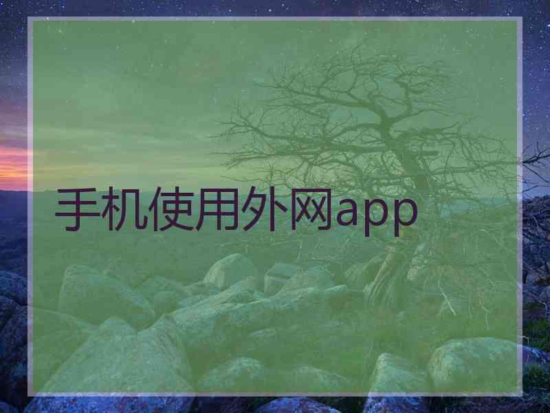 手机使用外网app