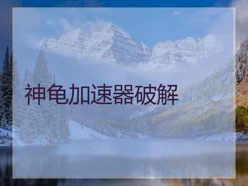 神龟加速器破解