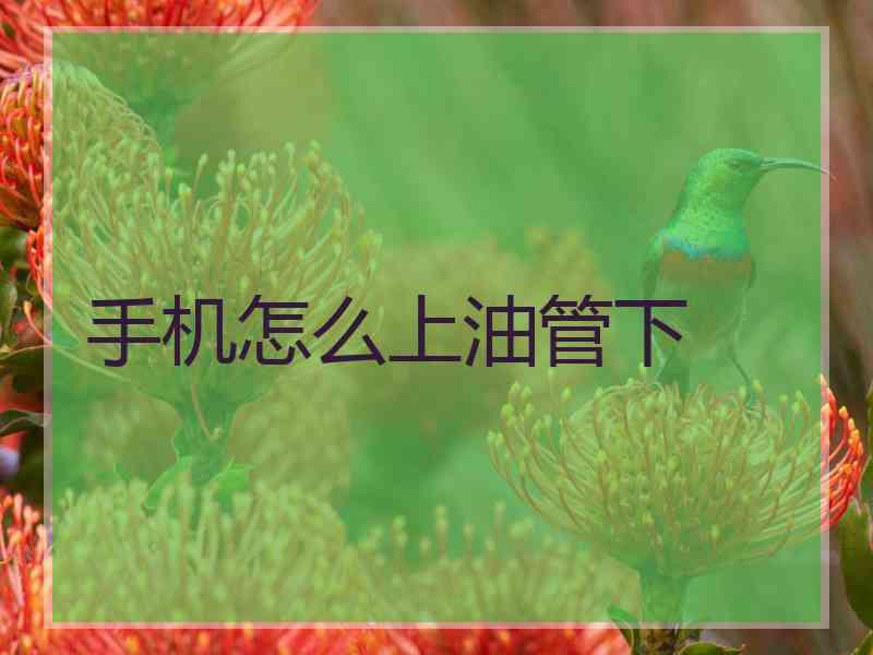 手机怎么上油管下