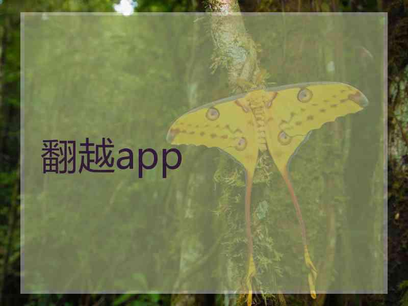翻越app