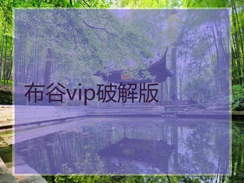 布谷vip破解版