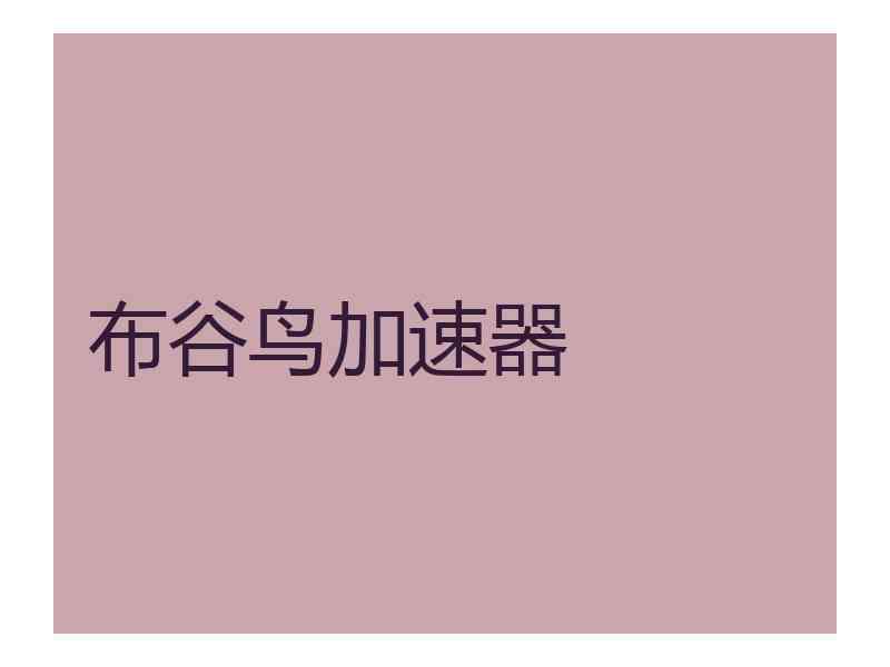 布谷鸟加速器