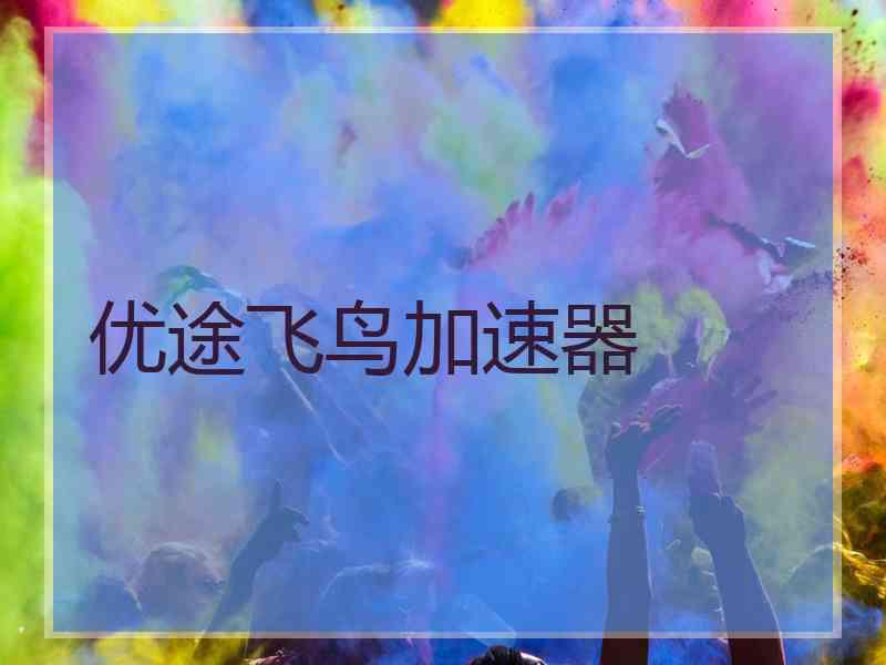 优途飞鸟加速器