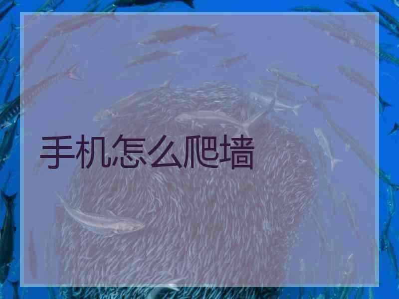 手机怎么爬墙