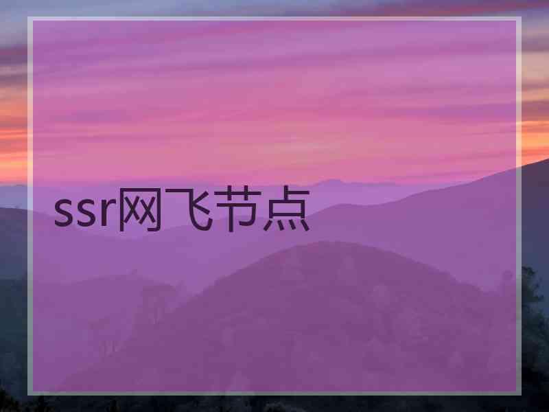 ssr网飞节点